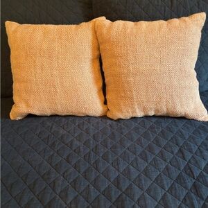 Pottery Barn Faye Linen Throw Pillow Covers Set of 2